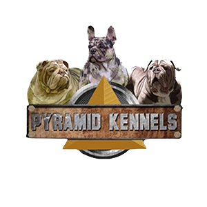 Pyramid Kennels